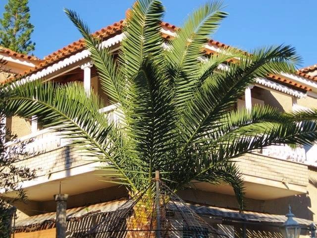 Alex - Nancy Apartments - Zaga Beach Koroni  Luaran gambar