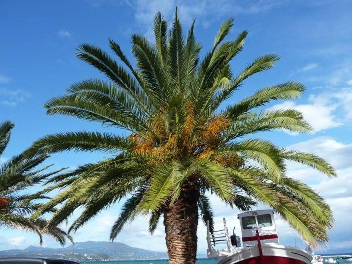 Alex - Nancy Apartments - Zaga Beach Koroni  Luaran gambar